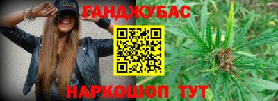 прущие грибы Волжск