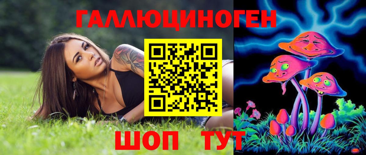 Моздок  Псилоцибиновые грибы Psilocybine cubensis  Вход с VPN 